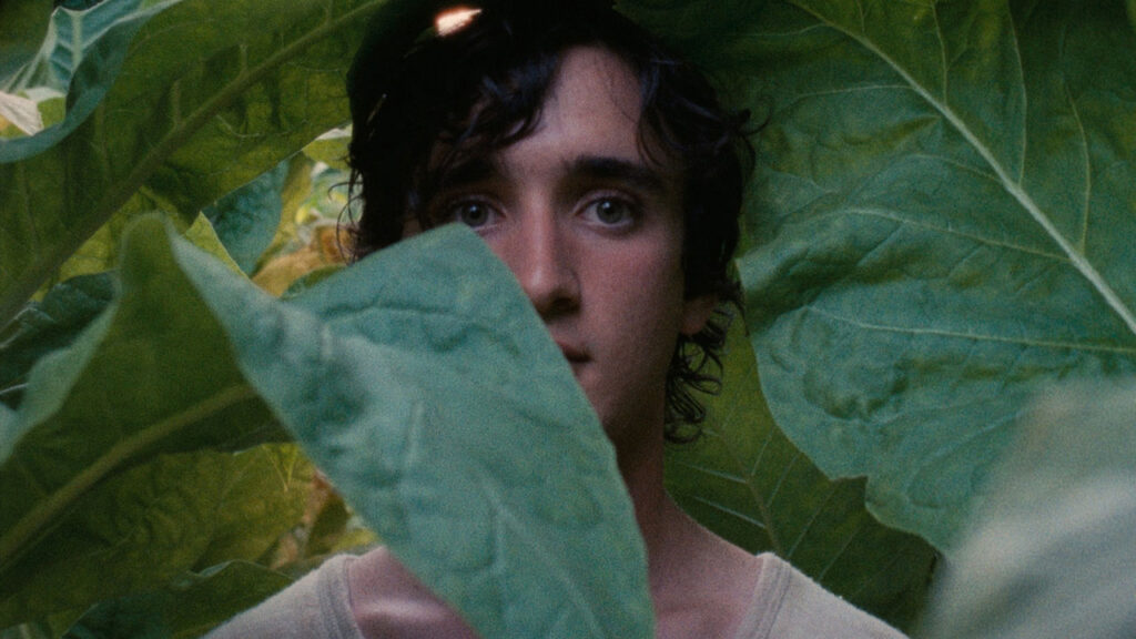 Lazzaro Felice – v.originale con sot. in cinese