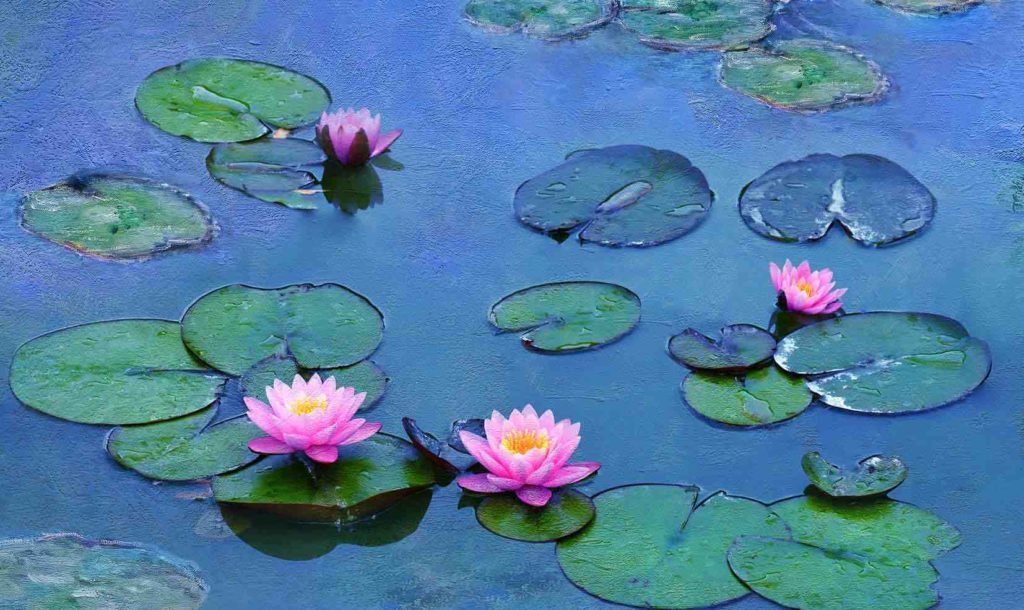 Le Ninfee di Monet – Un incantesimo di acqua e luce